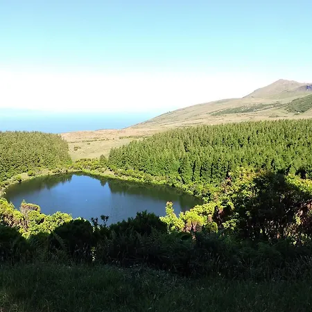 Oliveira Apartment Madalena (Azores)