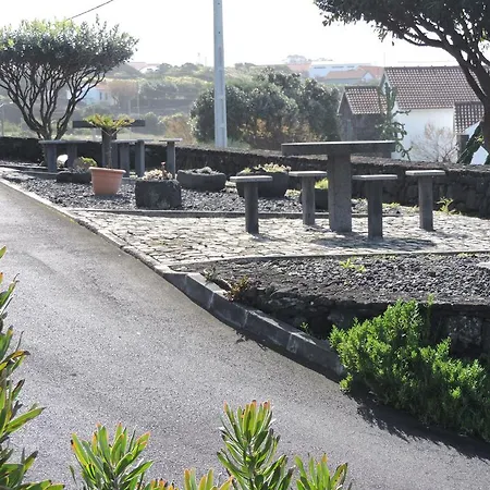 Oliveira *