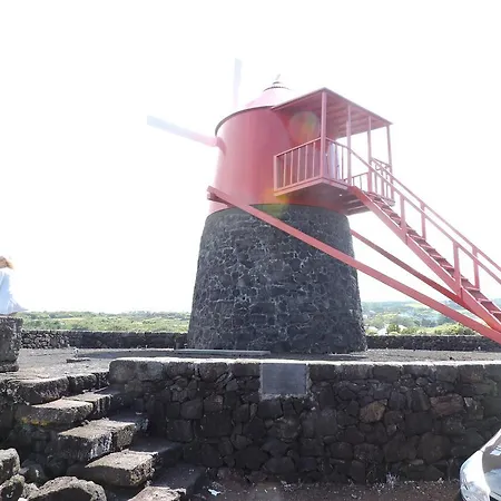 Oliveira * Madalena (Azores)