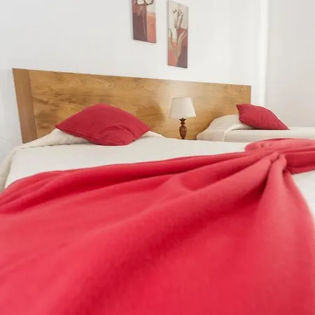 Oliveira * 마달레나