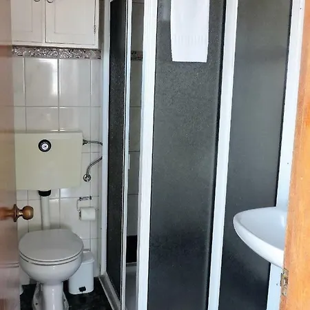 Oliveira * 마달레나