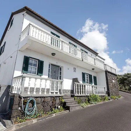 Oliveira 마달레나