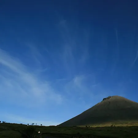 Appartamento Oliveira Madalena (Azores)