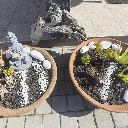 Apartment Oliveira *