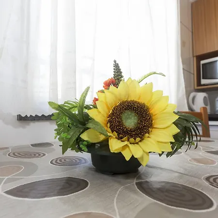 Oliveira Appartement