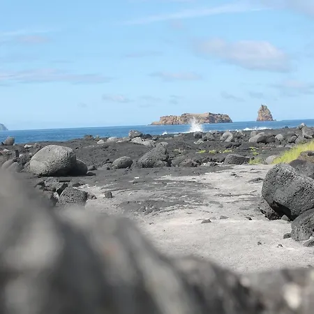 Apartment Oliveira *