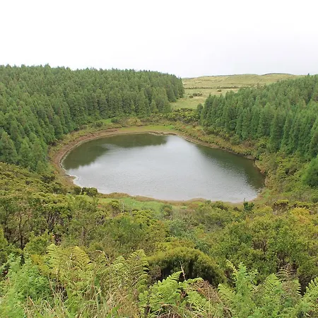 Oliveira * Madalena (Azores)