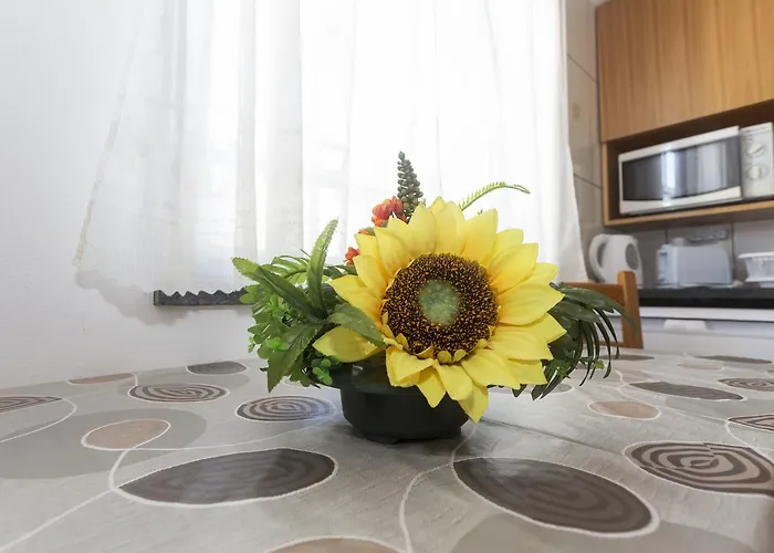 Oliveira Διαμέρισμα