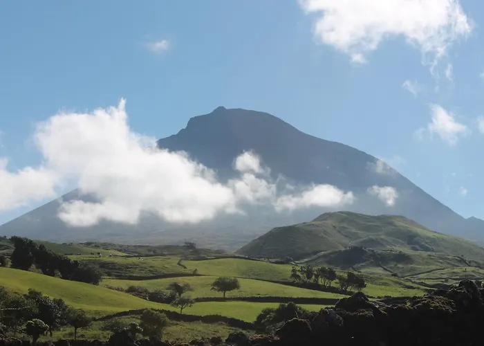 Διαμέρισμα Oliveira Madalena (Azores)
