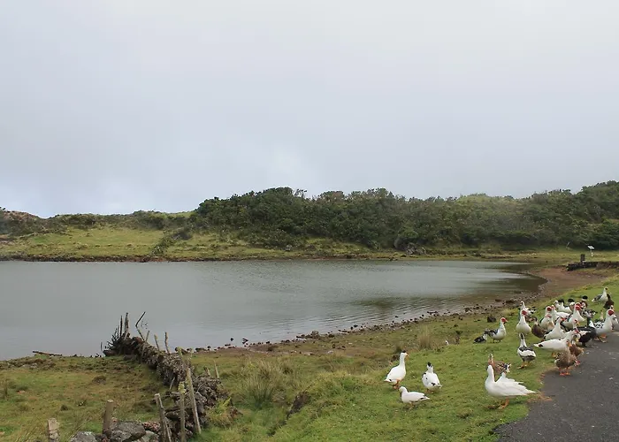 Oliveira Διαμέρισμα