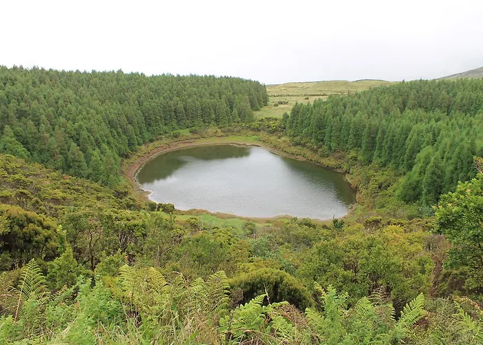 Oliveira * Madalena (Azores)